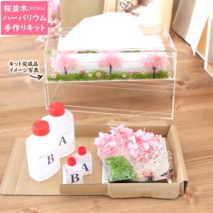 <メッセージシールなし> 【 桜並木 】 固まる...の商品画像