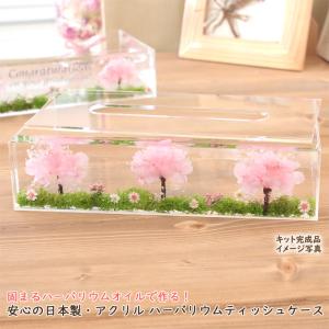 <メッセージシールなし> 【 桜並木 】 固ま...の詳細画像1