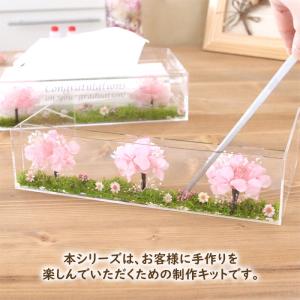 <メッセージシールなし> 【 桜並木 】 固ま...の詳細画像2