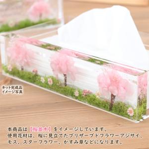 <メッセージシールなし> 【 桜並木 】 固ま...の詳細画像5