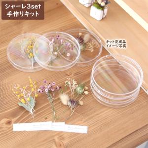 【手作りキット】 シャーレ 植物標本 キット 3個セット | ドライフラワー 花材付き ナチュラル おしゃれ ハンドメイド DIY 簡単 初心者