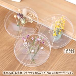 【手作りキット】 シャーレ 植物標本 キット ...の詳細画像1