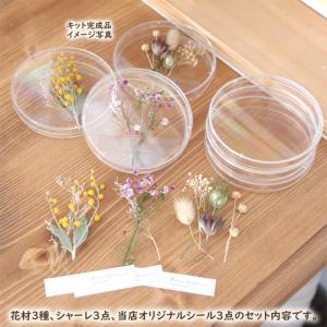 【手作りキット】 シャーレ 植物標本 キット ...の詳細画像2