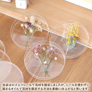 【手作りキット】 シャーレ 植物標本 キット ...の詳細画像3