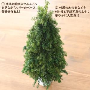【手作りキット】 クリスマスツリー アレンジメ...の詳細画像1