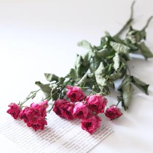 スプレーローズ ピンク系 3本 【ドライフラワー 国産】 【AS-3】 【 花 フラワー スプレーバラ SPローズ SPバラ 】 送料無料