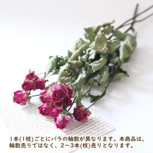 スプレーローズ ピンク系 3本 【ドライフラワ...の詳細画像3