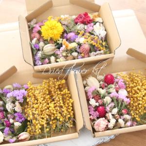 ドライフラワー 詰め合わせ 花材 セット 【ミ...の詳細画像4