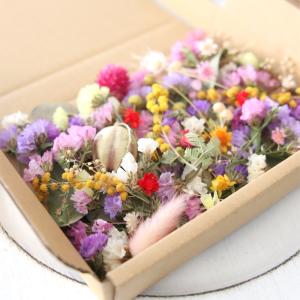 ドライフラワー 詰め合わせ 花材セット MIX...の詳細画像2