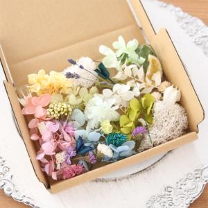花材セット パステルカラフル 【 詰め合わせ ハーバリウム キット