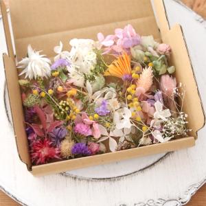 ミモザ ドライフラワー （穂先20本） 【Aタイプ】 素材 花材 お花 黄色