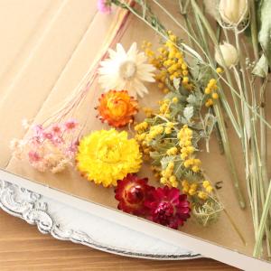 ドライフラワー 花材 詰め合わせ MIX (A...の詳細画像3