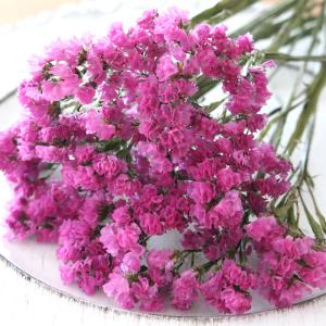 紫色のスターチス ドライフラワー 7本⇒25g〈No.40〉 紫色のスターチス ドライフラワー 7本⇒25g〈No.40〉 - メルカリ