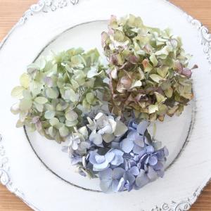 ドライフラワー 紫陽花 MIXパック (3輪前...の詳細画像2