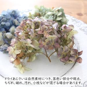 ドライフラワー 紫陽花 MIXパック (3輪前...の詳細画像3