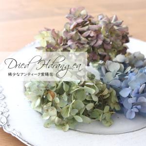 ドライフラワー 紫陽花 MIXパック (3輪前...の詳細画像4