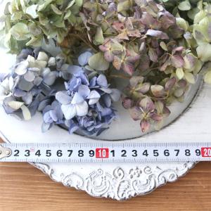 ドライフラワー 紫陽花 MIXパック (3輪前...の詳細画像5