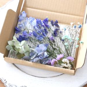 ドライフラワー 詰め合わせ 花材セット MIX...の詳細画像1