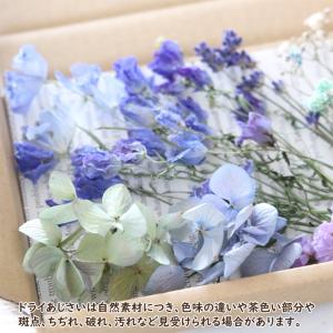 ドライフラワー 詰め合わせ 花材セット MIX...の詳細画像3