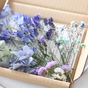ドライフラワー 詰め合わせ 花材セット MIX...の詳細画像4