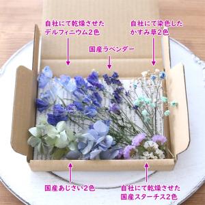 ドライフラワー 詰め合わせ 花材セット MIX...の詳細画像5