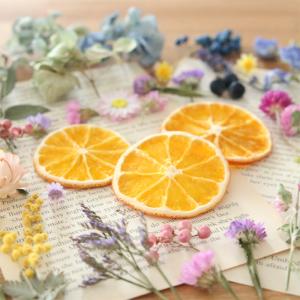ドライフラワー 詰め合わせ 花材セット MIX...の詳細画像1