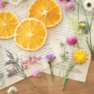 ドライフラワー 詰め合わせ 花材セット MIX...の詳細画像2