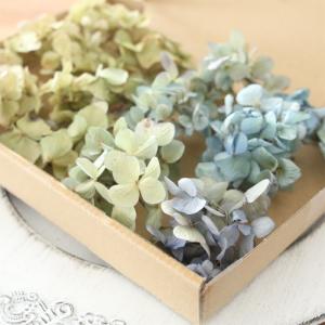 ドライフラワー 紫陽花 詰め合わせ セット (...の詳細画像2