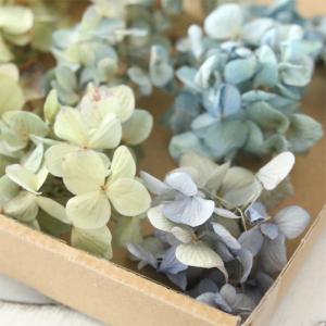 ドライフラワー 紫陽花 詰め合わせ セット (...の詳細画像3