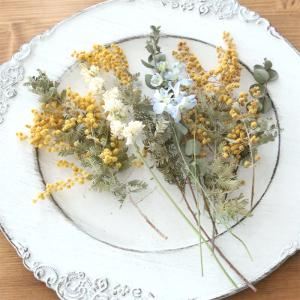 ミモザ ドライフラワー 花材 MIXセット 【...の詳細画像3