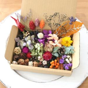 【ハロウィン】 花材キット ドライフラワー プ...の詳細画像2