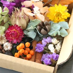 【ハロウィン】 花材キット ドライフラワー プ...の詳細画像4