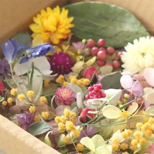 【Flower garden】 花材詰め合わせ...の詳細画像2