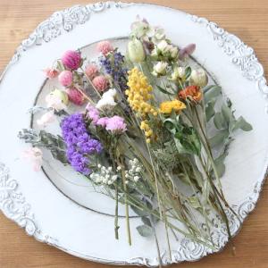 15種類 ドライフラワー 花材 詰め合わせ セ...の詳細画像2