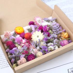 ドライフラワー 花材 詰め合わせ セット (千...の詳細画像1