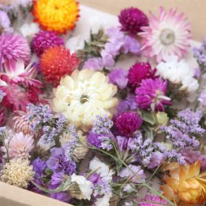 ドライフラワー 花材 詰め合わせ セット (千...の詳細画像3