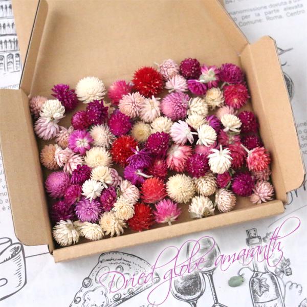 ドライフラワー 千日紅 ヘッド （ミックス） 【約80個前後】 赤 紫 パープル レッド ホワイト ...