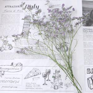 HBスターチス （ラベンダー）【約6本・大サイズ】 ドライフラワー 花材 送料無料 スワッグ ハンドメイド 材料 素材 リース ハーバリウム