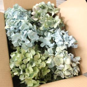 手作りキット】 クリスマス リース （ 三日月・ヒムロスギ） フラワー