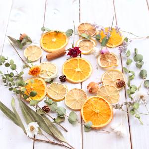 ドライフルーツ（オレンジ・レモン・ライム） 花材セット （A） [ フルーツ オレンジ ドライフルーツ 花材 キット 花材詰め合わせ 素材 ハーバリウム レジン ]