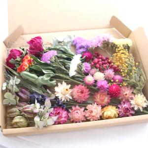 12種類のドライフラワー バラエティセット 花材 ハンドメイド 素材 材料 送料無料
