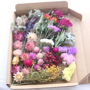 12種類のドライフラワー バラエティセット 花...の詳細画像1
