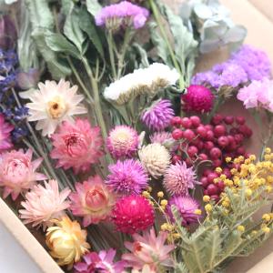 12種類のドライフラワー バラエティセット 花...の詳細画像2
