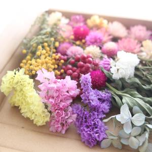 12種類のドライフラワー バラエティセット 花...の詳細画像3