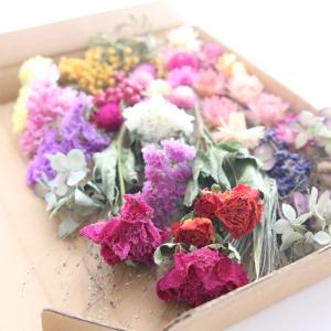 12種類のドライフラワー バラエティセット 花...の詳細画像4