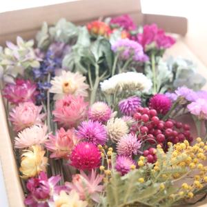 12種類のドライフラワー バラエティセット 花...の詳細画像5