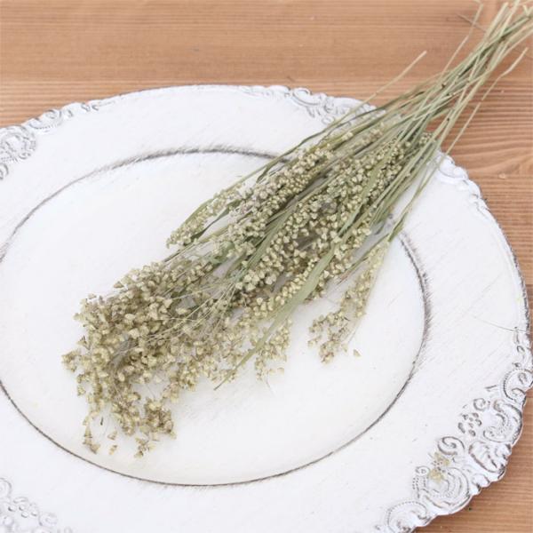 姫小判草 ドライフラワー （約4〜5g） | スワッグ 花材 国産 送料無料 スワッグ ハンドメイド...