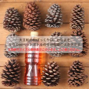 クリスマス 松ぼっくり ツリー 【手作りキット...の詳細画像2