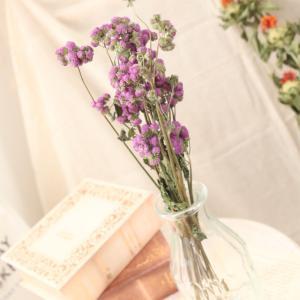 アゲラタム 花材 ドライフラワー (紫) 約5...の詳細画像1