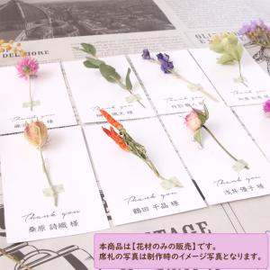ドライフラワー 茎付き フラワーセット | 席...の詳細画像4